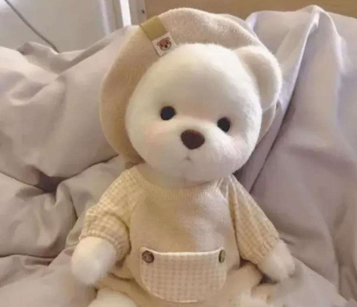 20cm Doll Bear Outfit